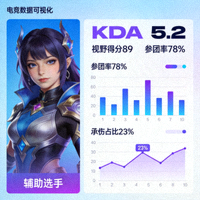 王者荣耀职业辅助选手头像与团队数据表现